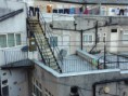 /album/backyards-and-seaside/cb1a-small-jpg/